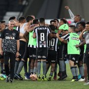 Botafogo e os pontos que ficaram pelo caminho