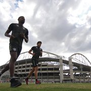 Por desgaste do campo anexo do Nilton Santos, Botafogo estuda treinar na Barra