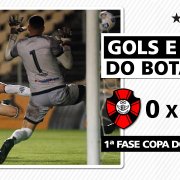VÍDEO | Gols e melhores momentos da goleada do Botafogo sobre o Moto Club