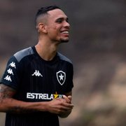 Já treinando, Luiz Fernando tem situação indefinida no Botafogo; Marcinho deve sair
