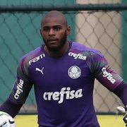 Botafogo acerta com goleiro Leandro Matheus, ex-Palmeiras, Bahia e Cruzeiro, para o time B