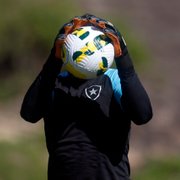 Botafogo analisa mercado e pode contratar goleiro para suprir ausência de Gatito por lesão