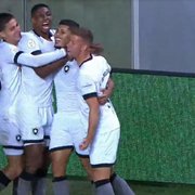 ATUAÇÕES FN: Erison é o melhor em América-MG 1 x 1 Botafogo, Del Piage e Vinícius Lopes entram bem; Diego Gonçalves mal demais