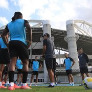 Botafogo apresenta elenco do time B para a disputa do Campeonato Brasileiro de Aspirantes, que começa dia 30