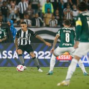 Os erros que atrapalharam o Botafogo contra o Palmeiras