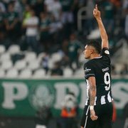 Tiquinho Soares, do Botafogo, é escolhido o autor do gol da 29ª rodada do Campeonato Brasileiro