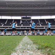 Botafogo ainda vai definir tipo de grama e pode começar o Carioca sem o Estádio Nilton Santos