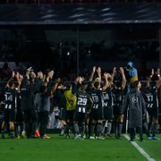 Ricardinho: &#8216;Vaga no G-8 é a conquista do Campeonato Brasileiro para o Botafogo este ano&#8217;