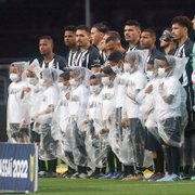 Botafogo vai receber R$ 19,3 milhões por colocação no Brasileirão; oitavo lugar ganha quase R$ 10 milhões a mais