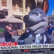 Mascote do Botafogo acorda na Copa do Mundo do Catar e 'invade' transmissão ao vivo da CNN
