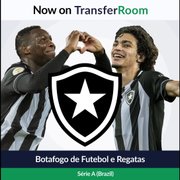Botafogo fecha parceria com plataforma global de transferências de jogadores: ‘Podemos atingir novos mercados’, celebra Mazzuco