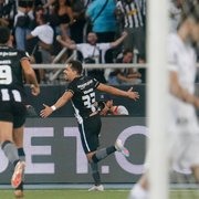 Botafogo e as dúvidas na janela de reforços