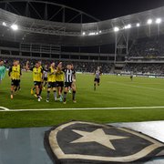 Quase 800 minutos: Botafogo não sofre um gol no Estádio Nilton Santos há um mês e meio