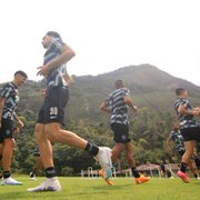 Botafogo tem tempo crucial para descansar time e recuperar atletas