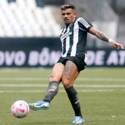 Tiquinho Soares se iguala como segundo maior artilheiro do Botafogo em um ano no século XXI