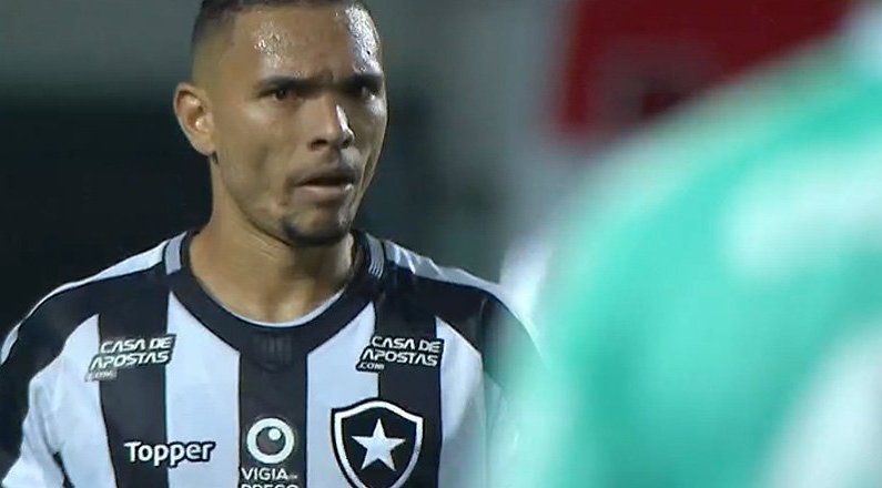 Luiz Fernando em Palmeiras x Botafogo | Campeonato Brasileiro 2019