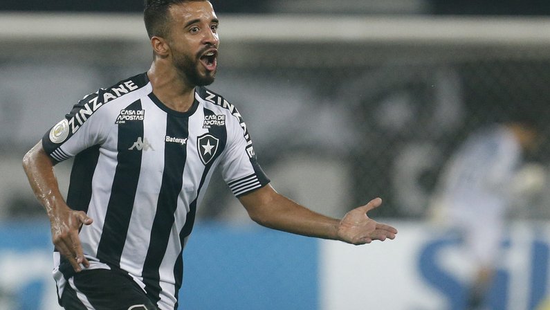 Caio Alexandre - Botafogo x Palmeiras