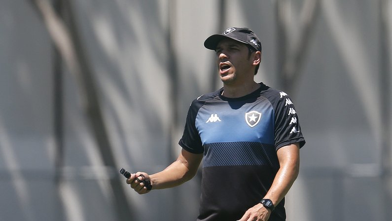 Pensando em renovação, Botafogo enfrenta o Grêmio no Nilton Santos; Lucio Flavio deve manter time