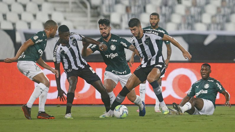 Matheus Babi e Pedro Raul - Botafogo x Palmeiras - Campeonato Brasileiro 2020