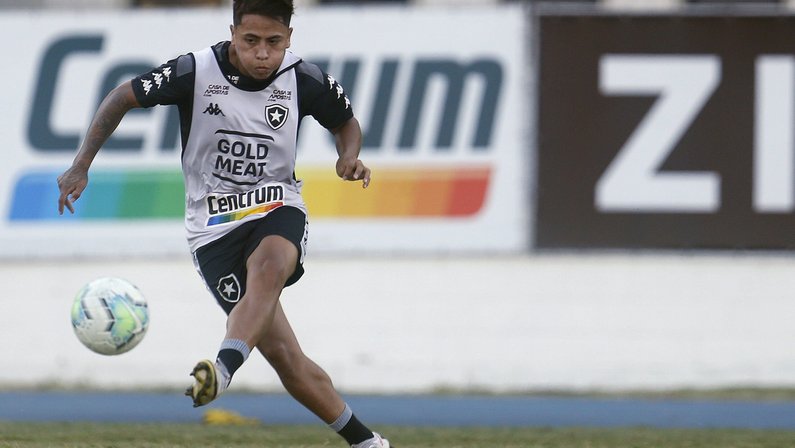 Com Lecaros de volta, Barroca comanda treino no Botafogo; veja fotos