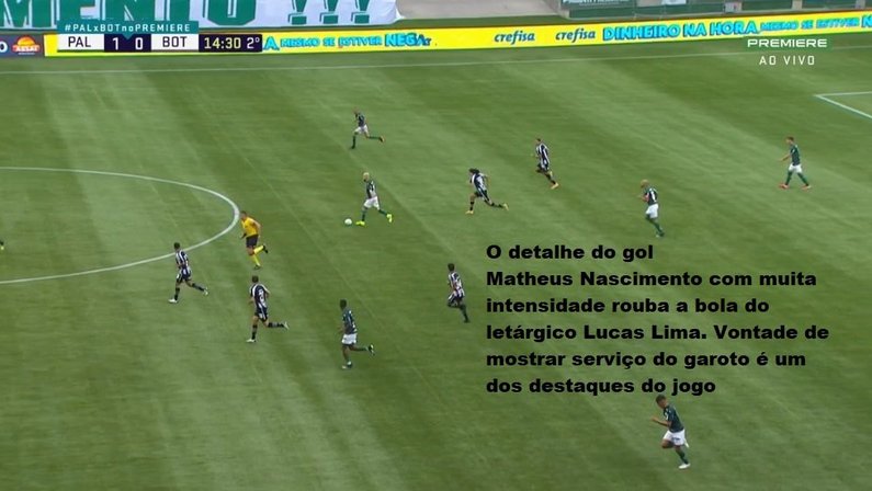 Análise Palmeiras 1 x 1 Botafogo