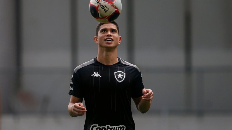 Lembranças ruins… Botafogo terá reencontros em duelo com o Avaí