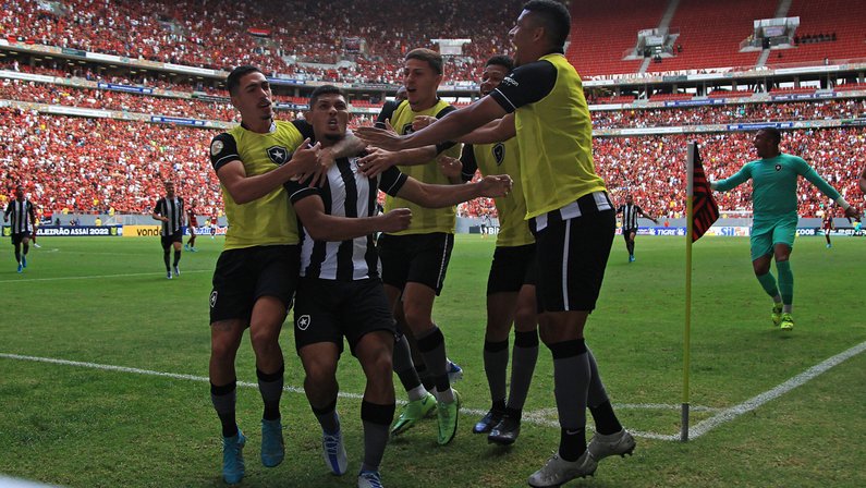 Botafogo terá muitas mudanças em relação a último jogo no Mané Garrincha