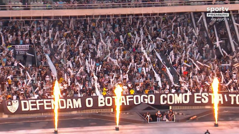 Torcida do Botafogo em jogo com o Ceilândia pela Copa do Brasil