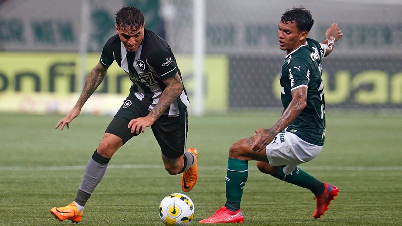Como Palmeiras é ‘exemplo’ para o Botafogo mudar mentalidade com jovens talentos e atrair ‘novo olhar’ europeu