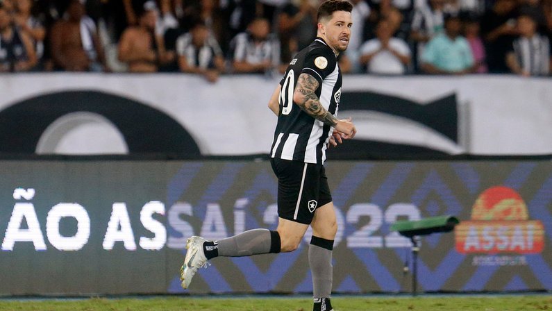 Botafogo atualiza situação do DM, e oito atletas estão em tratamento