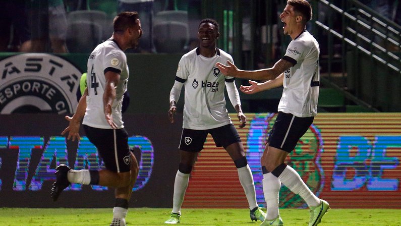 Contra o Palmeiras, Botafogo pode alcançar marca inédita para o clube neste Brasileiro