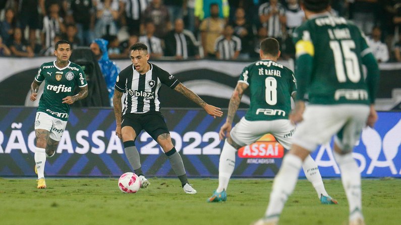 Os erros que atrapalharam o Botafogo contra o Palmeiras