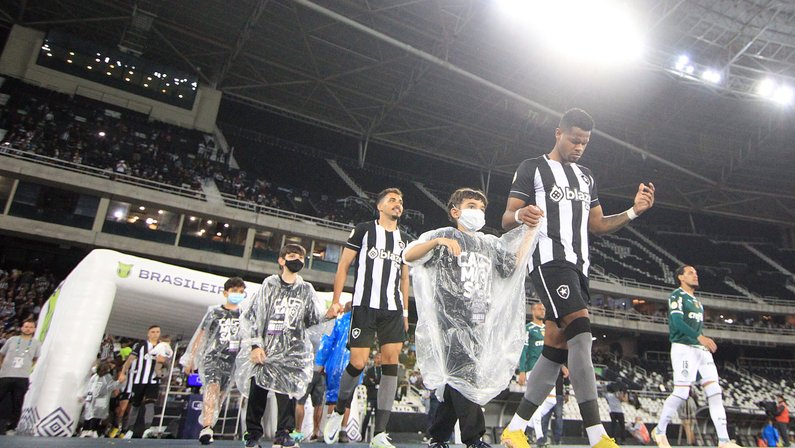 Derrota para o Palmeiras faz chance do Botafogo de ir à Libertadores reduzir para 6,9%