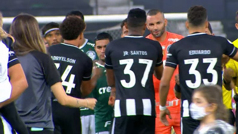 Elenco em Botafogo x Palmeiras | Campeonato Brasileiro 2022