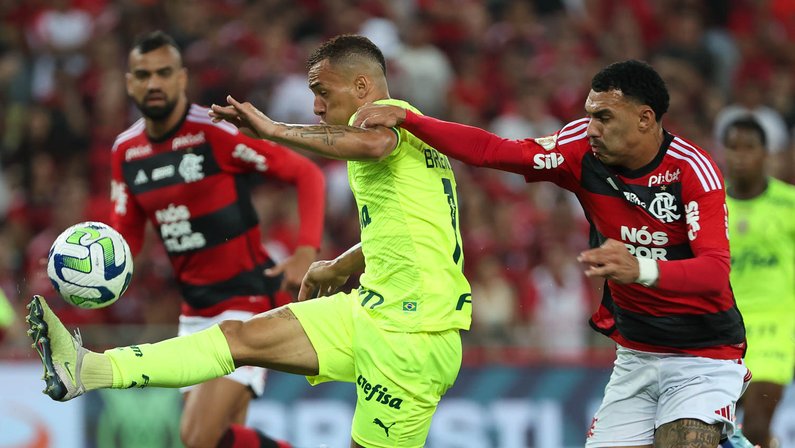 Palmeiras perde para o Flamengo, e Botafogo se garante mais uma rodada na  liderança do Brasileirão antes mesmo de jogar - FogãoNET