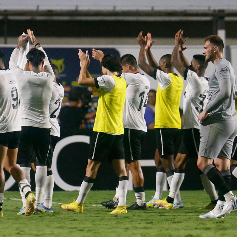 Botafogo tem aproveitamento recente de campeão, e Libertadores vira sonho possível  
