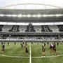 Como você avalia a janela de transferências do Botafogo? O que faltou?